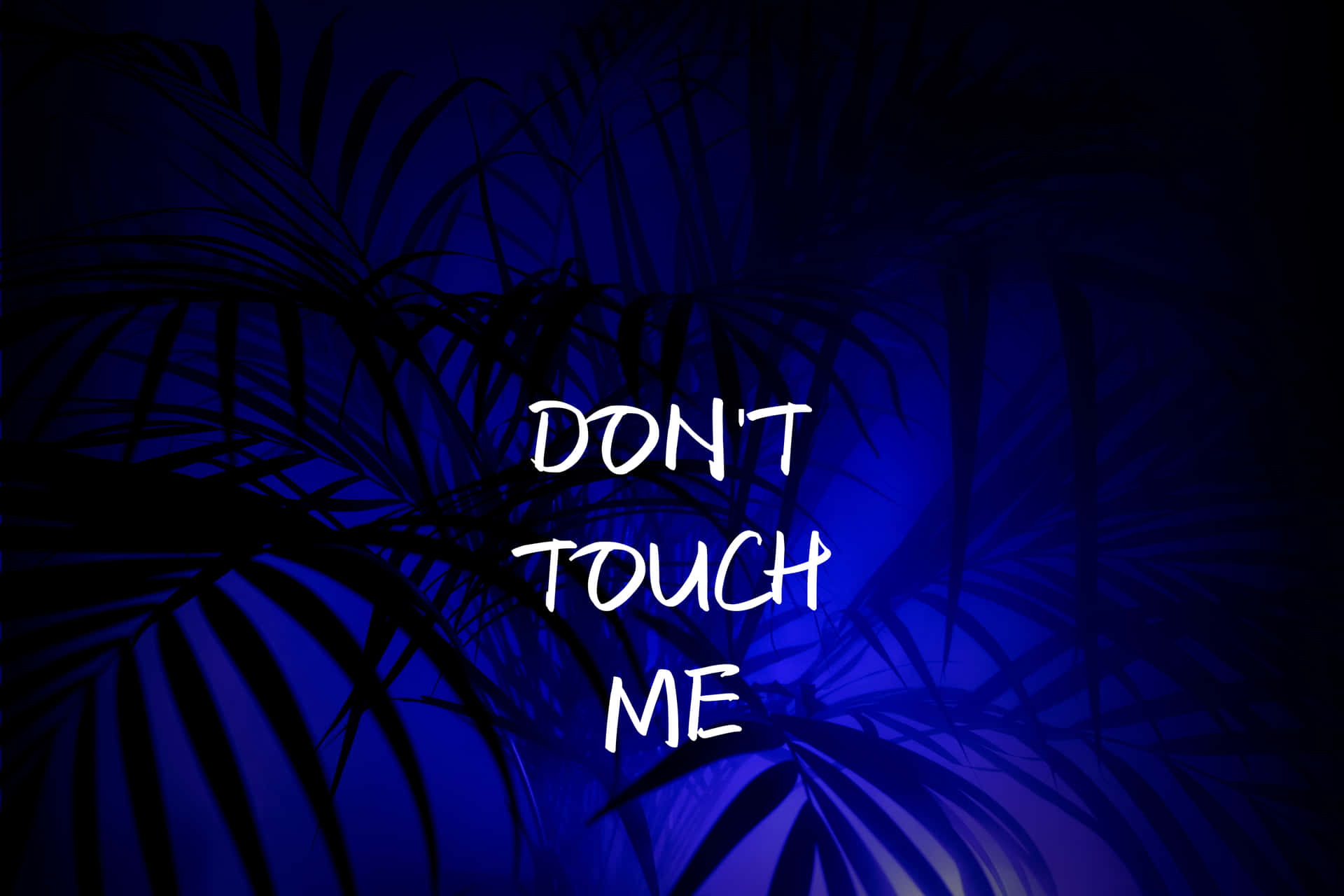 Blue Palm Leaves Dont Touch Me Graphic Wallpaper