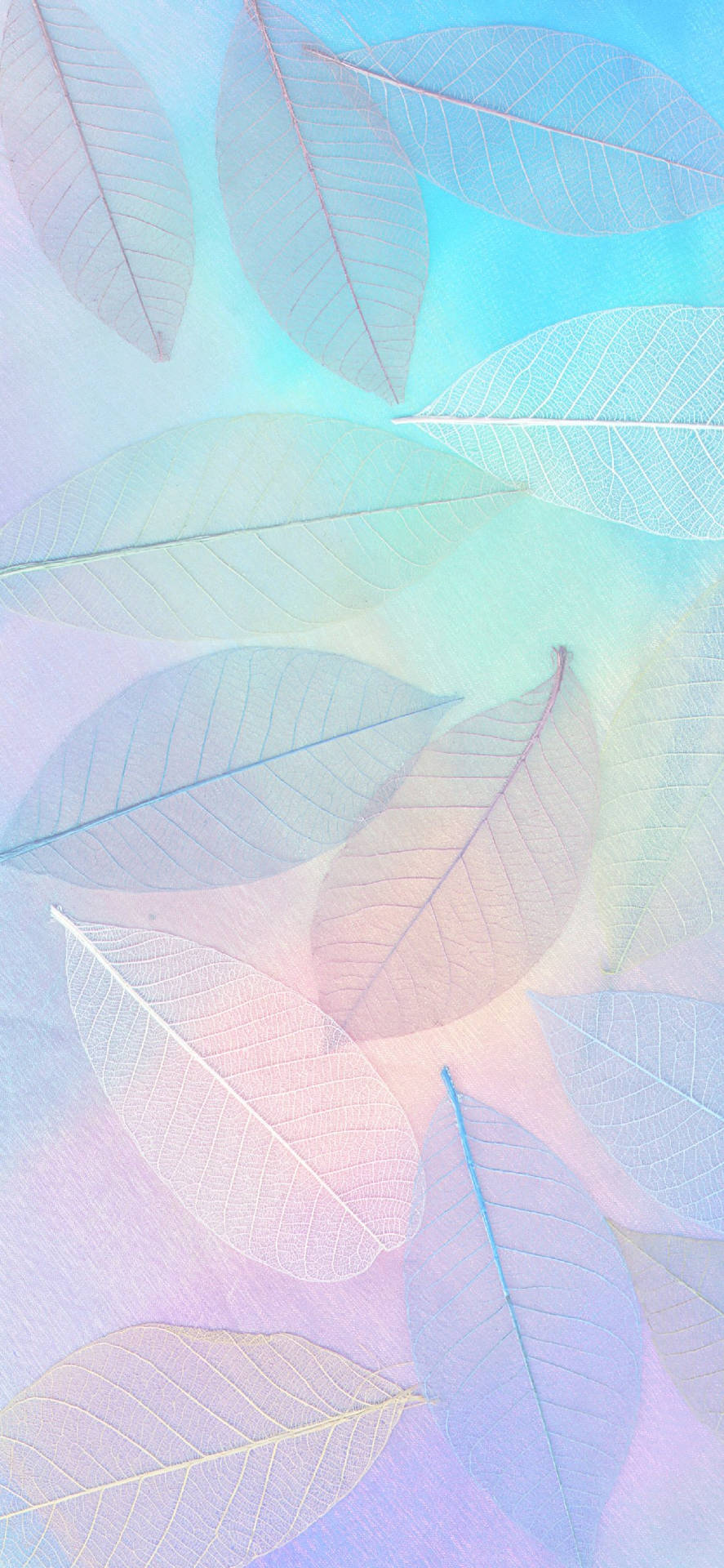 Blue Pastel Aesthetic Rainbow Leaves Wallpaper