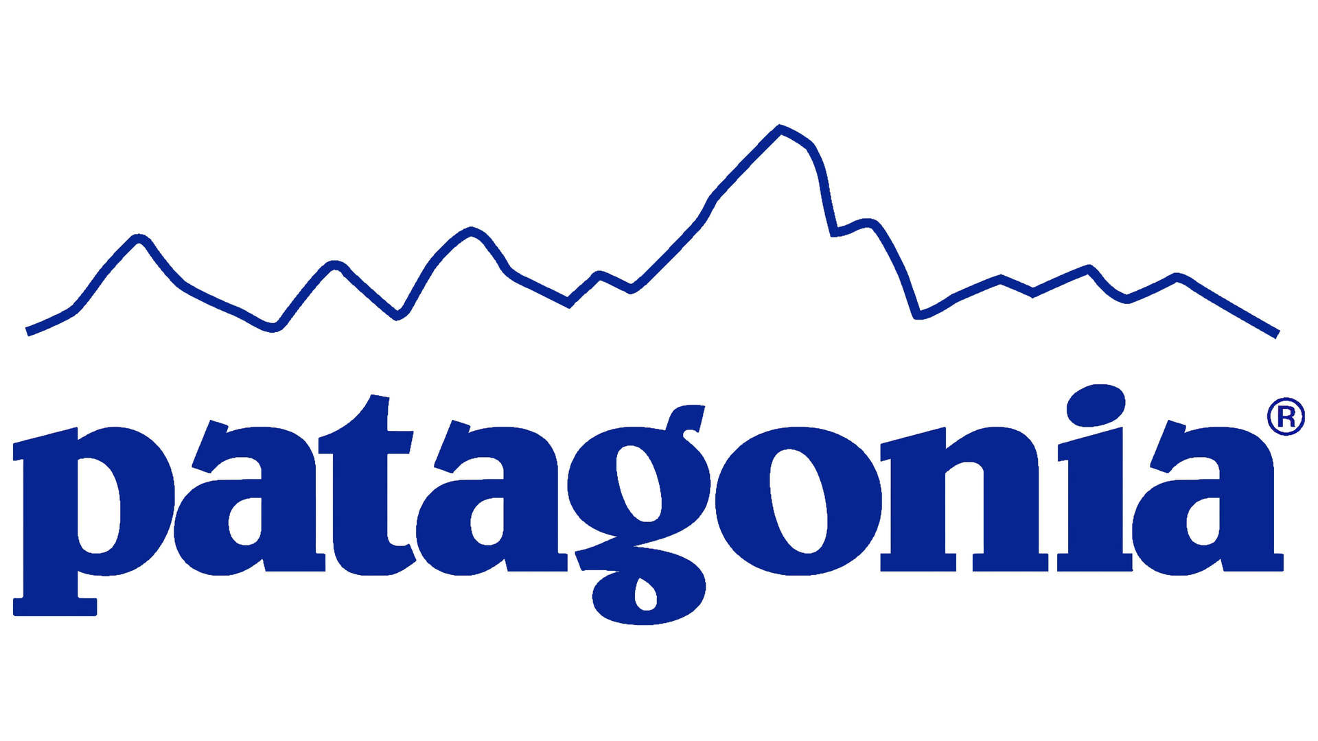 Blue Patagonia Logo Wallpaper
