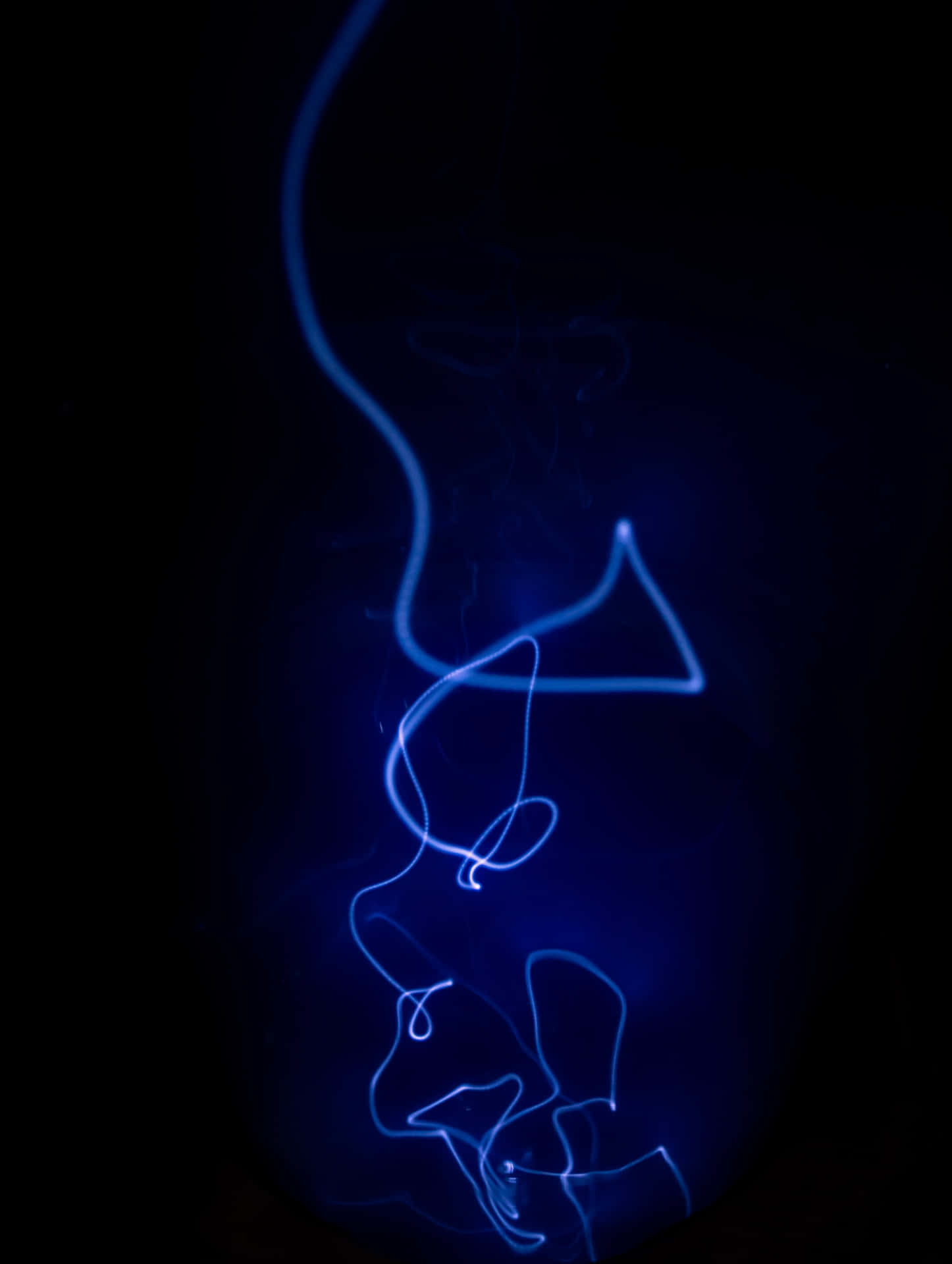 A Blue Light Drawing Of A Dog In A Dark Room