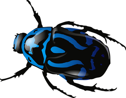 Blue Patterned Beetle Illustration PNG