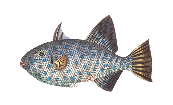 Blue Patterned Tropical Fish PNG