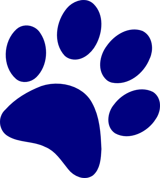 Blue Paw Print Graphic PNG