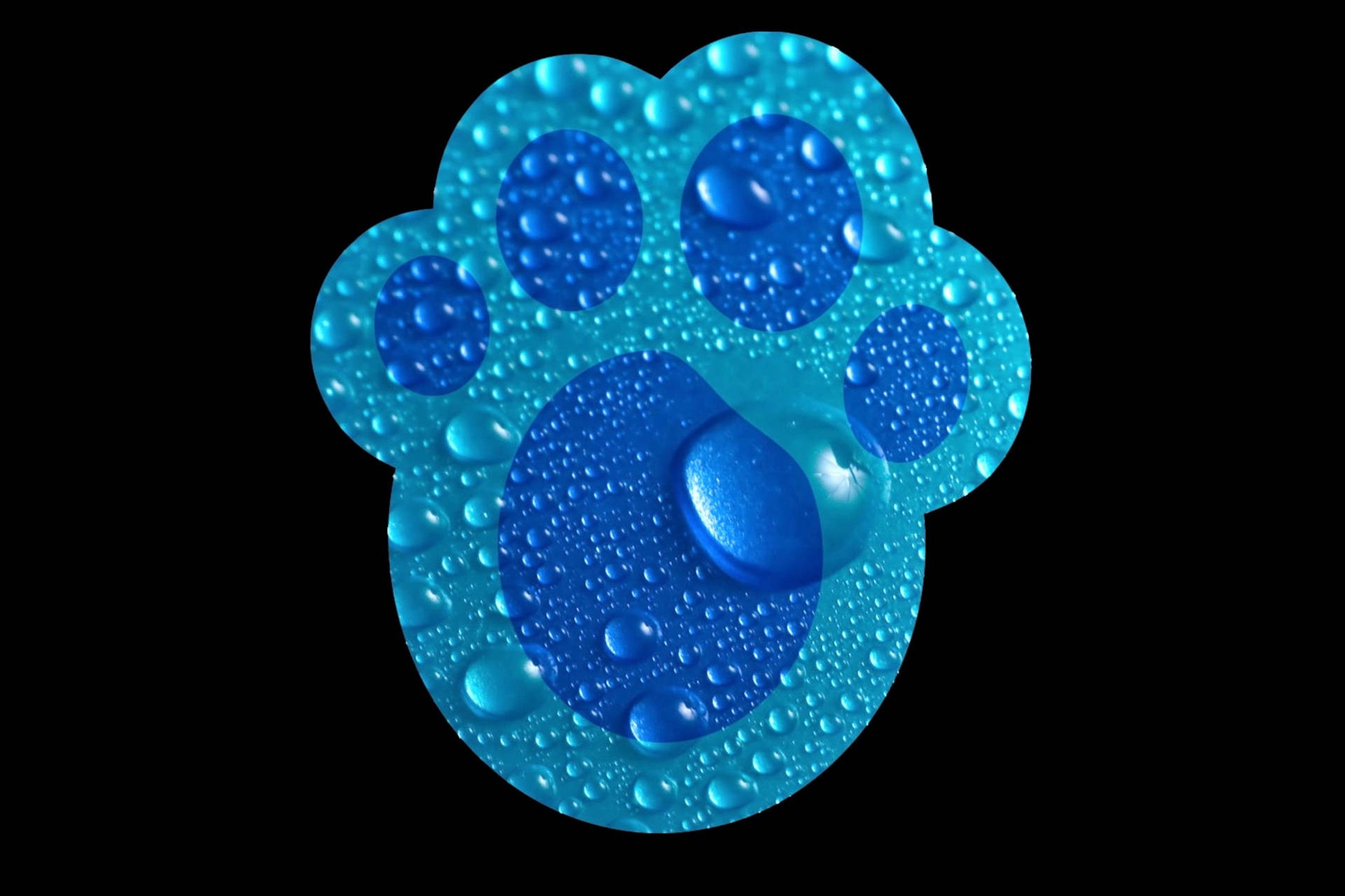 Blue Paw Print With Droplets Wallpaper