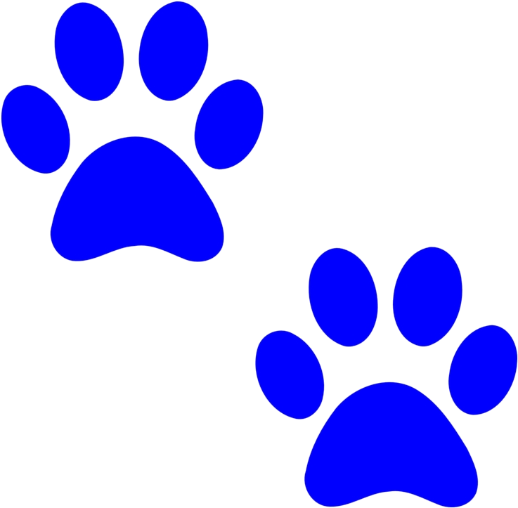 Blue Paw Prints Graphic PNG