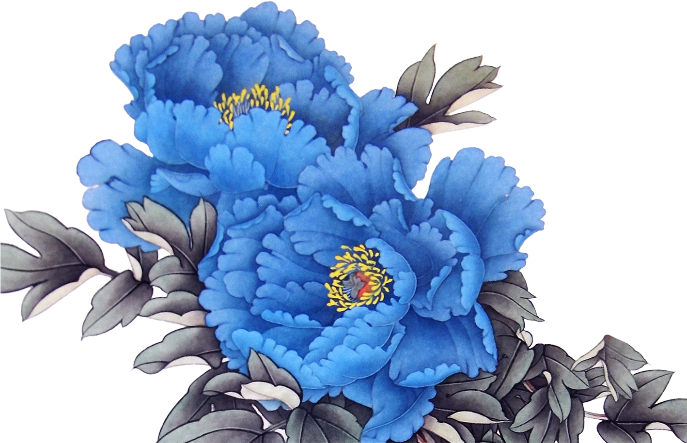 Blue Peony Illustration PNG