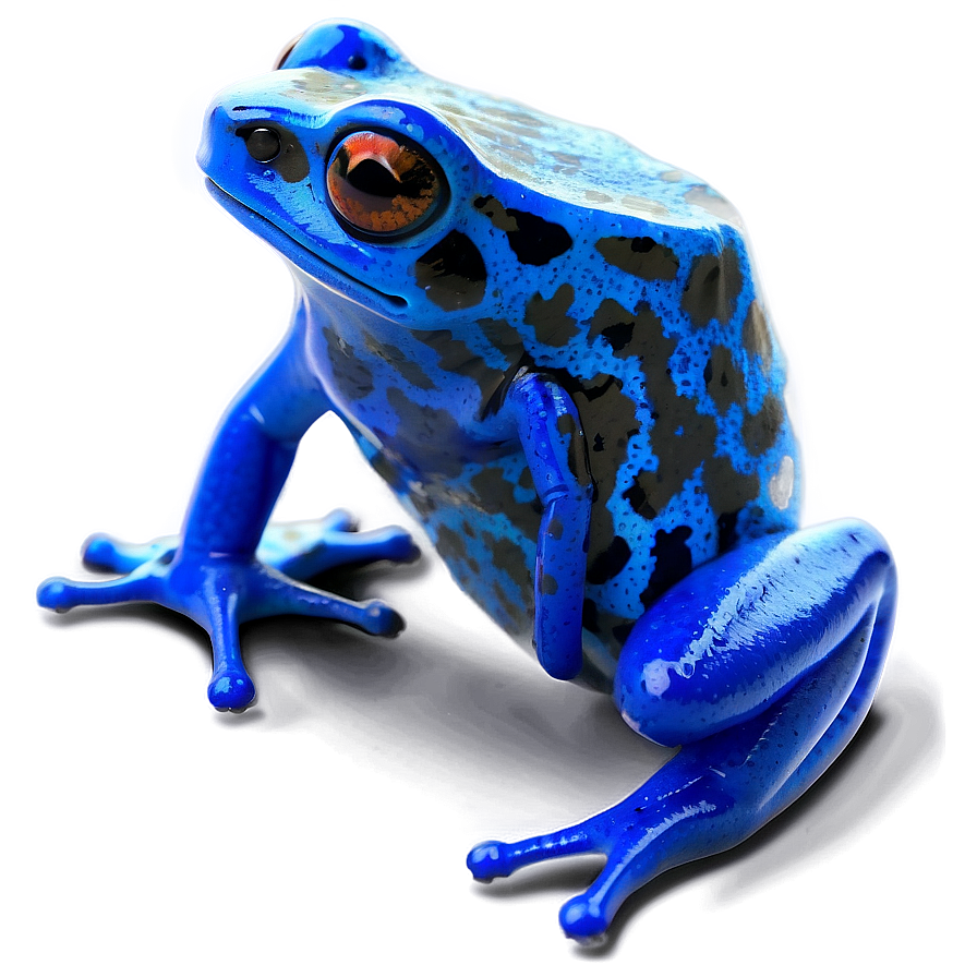 Blue Poison Dart Frog Png Dwv PNG