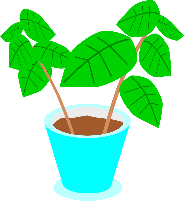 Blue Pot Green Plant Illustration PNG