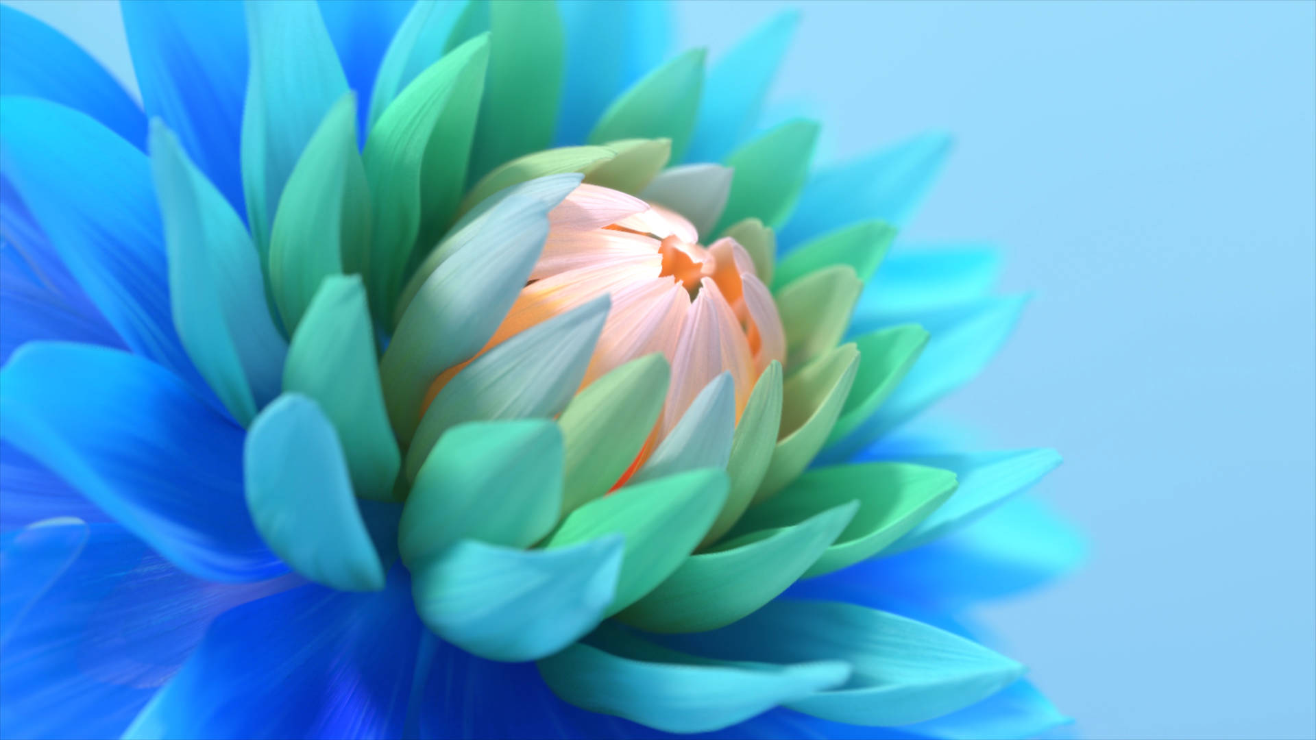 Blå Protea Fuld Skærm 4K Blomster Tapet Wallpaper