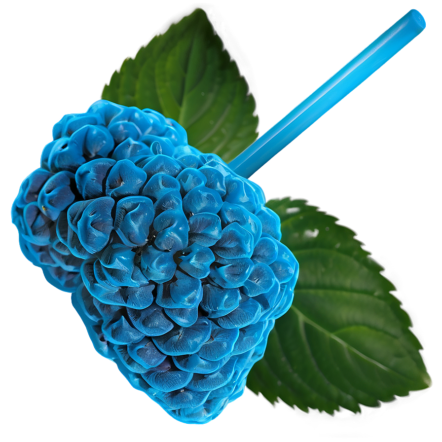 Blue Raspberry Haze Png 46 PNG