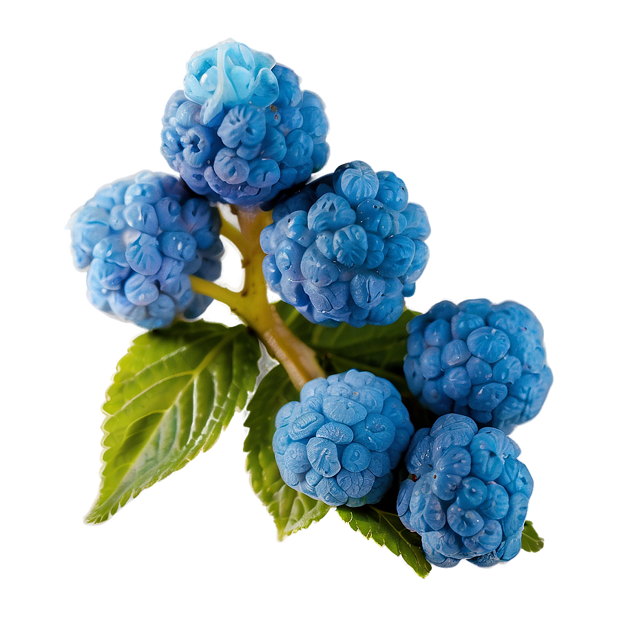 Blue Raspberry Haze Png 68 PNG