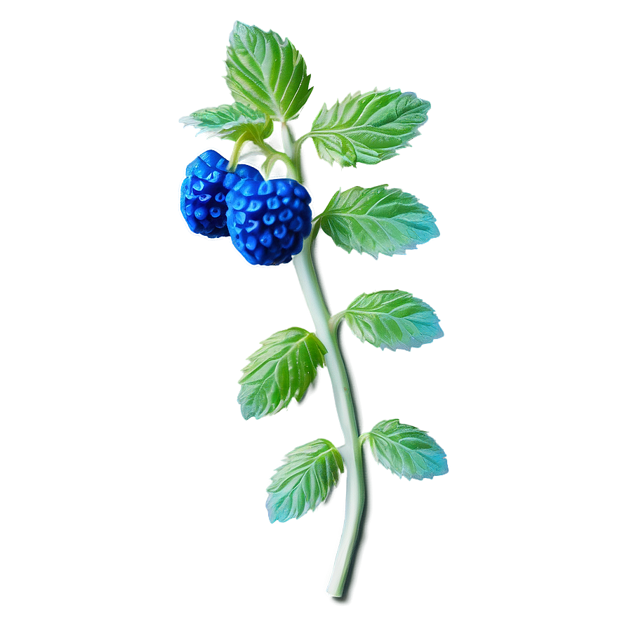 Blue Raspberry Mirage Png Osn89 PNG