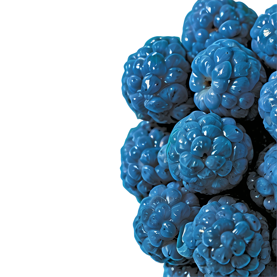Blue Raspberry Zest Png 23 PNG