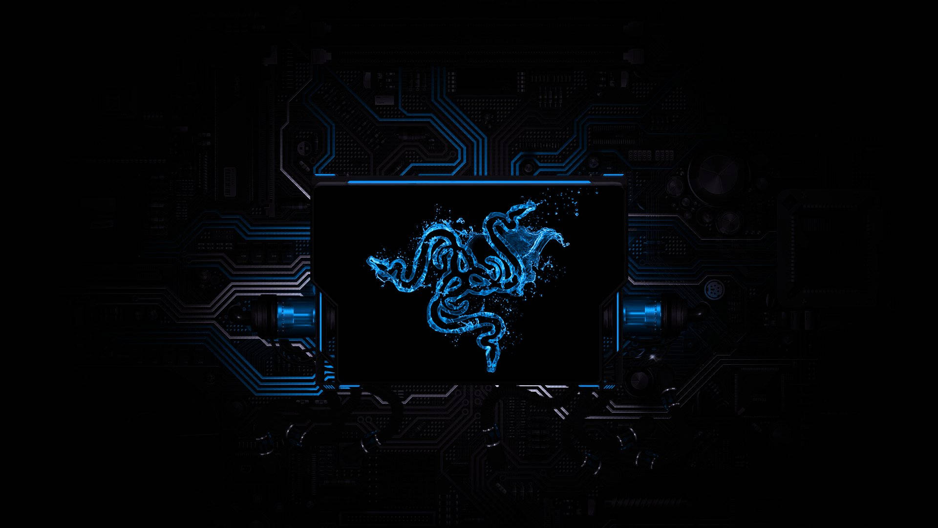 Download Blue Razer Pc Logo Cpu Wallpaper 