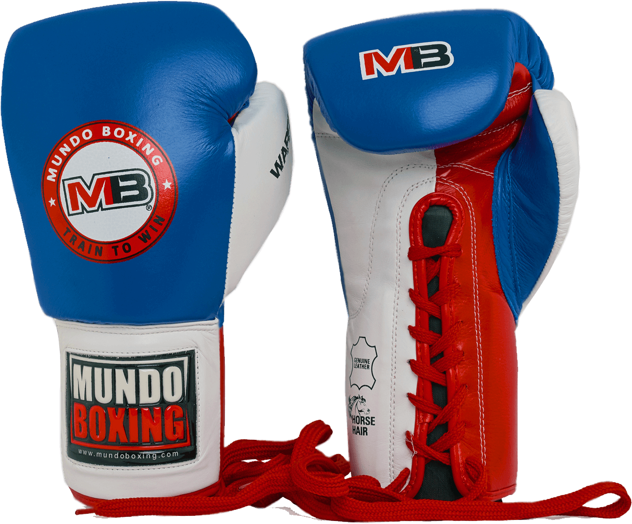 Blue Red Mundo Boxing Gloves PNG