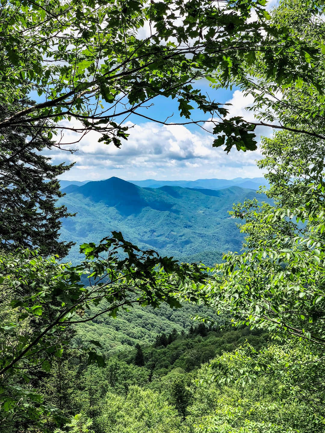 Majestic view of the Blue Ridge Mountains Wallpaper
