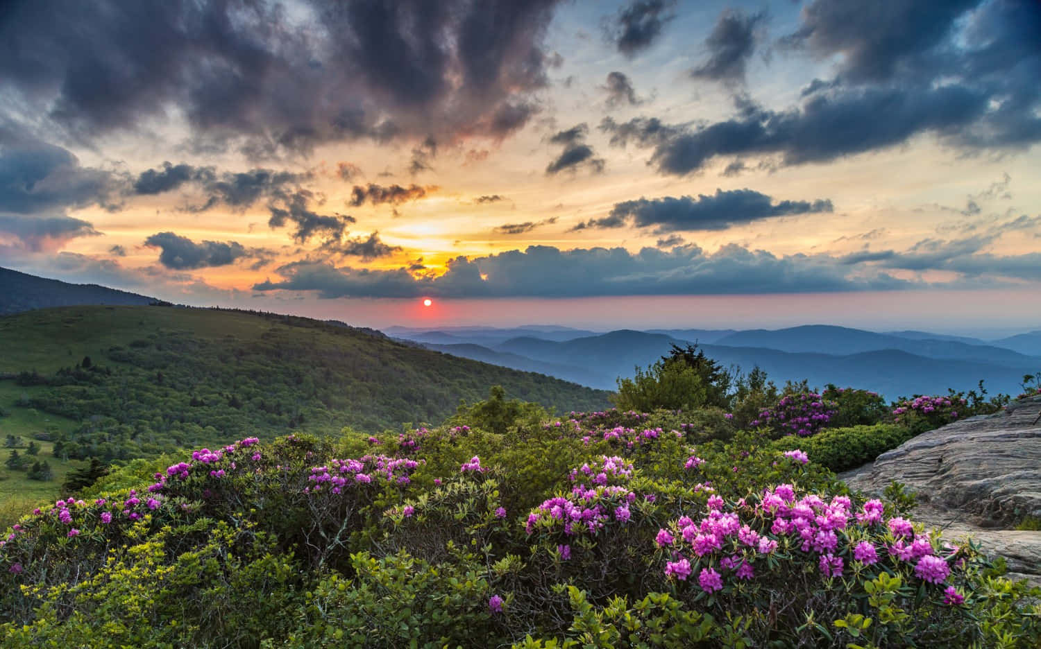 Explore the natural beauty of the Blue Ridge Mountains Wallpaper