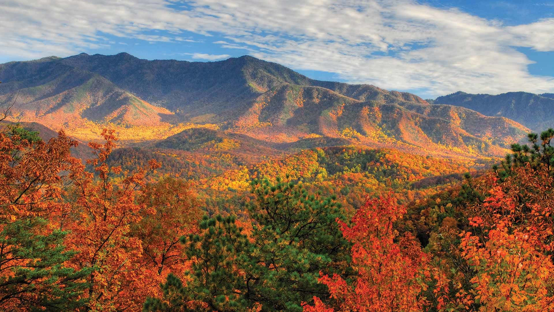 A tranquil landscape of rolling hills and stunning views of the Blue Ridge Mountains. Wallpaper