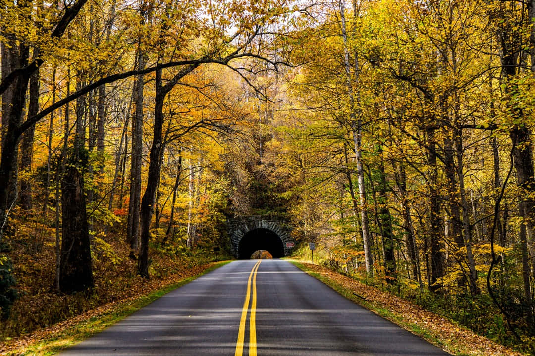 Geniet Van De Schoonheid Van De Blue Ridge Parkway In North Carolina Achtergrond