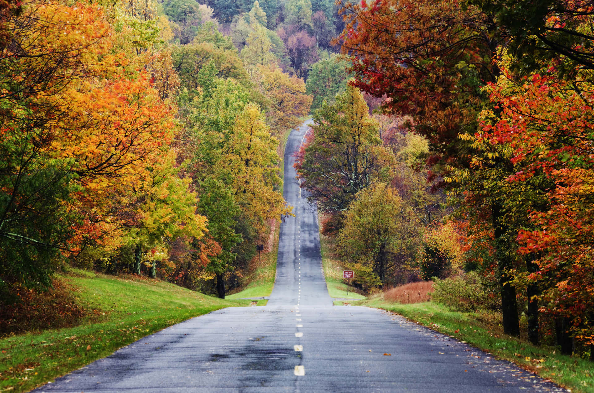 Download Enjoy the mesmerizing landscape at Blue Ridge Parkway