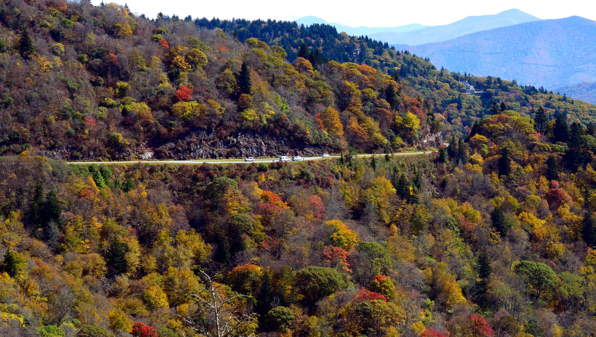 Geniet Van Het Mooie Landschap Langs De Blue Ridge Parkway Achtergrond