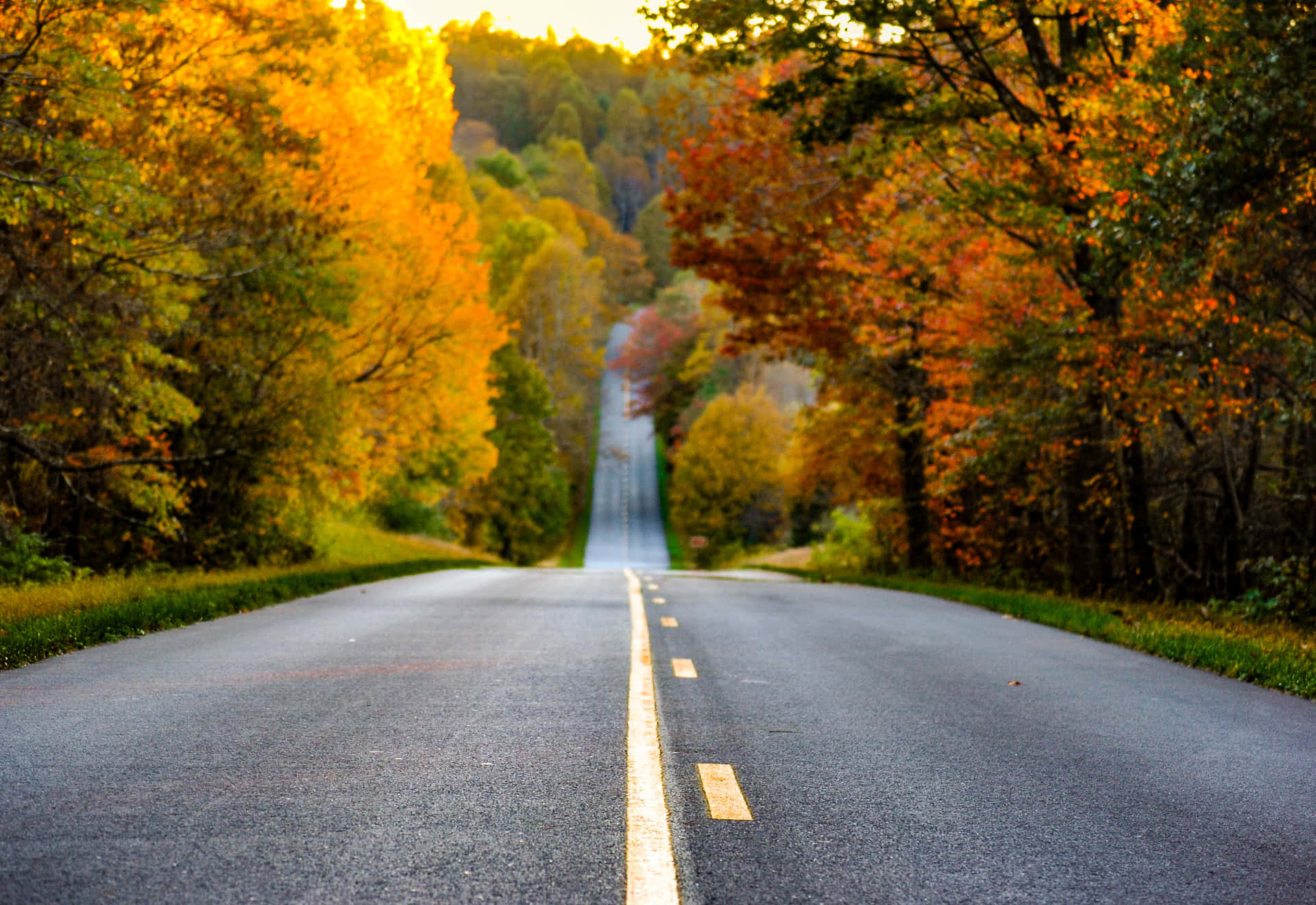 "Beautiful Autumn Drive Along The Blue Ridge Parkway" Wallpaper