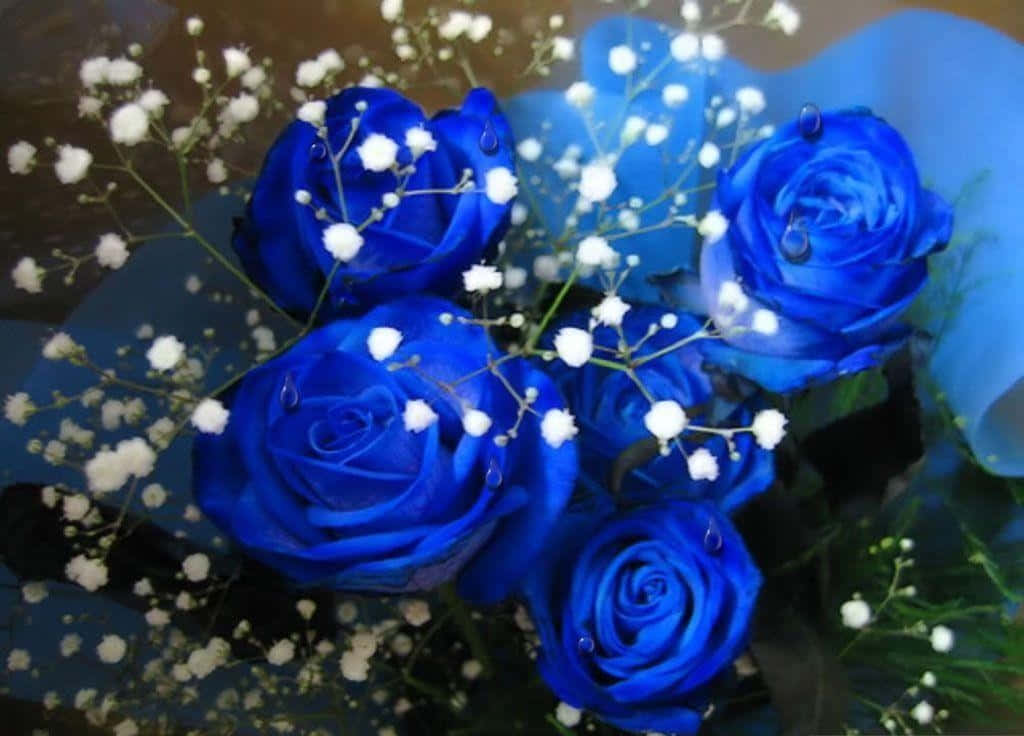 Download Aesthetic Blue Rose Wallpaper 