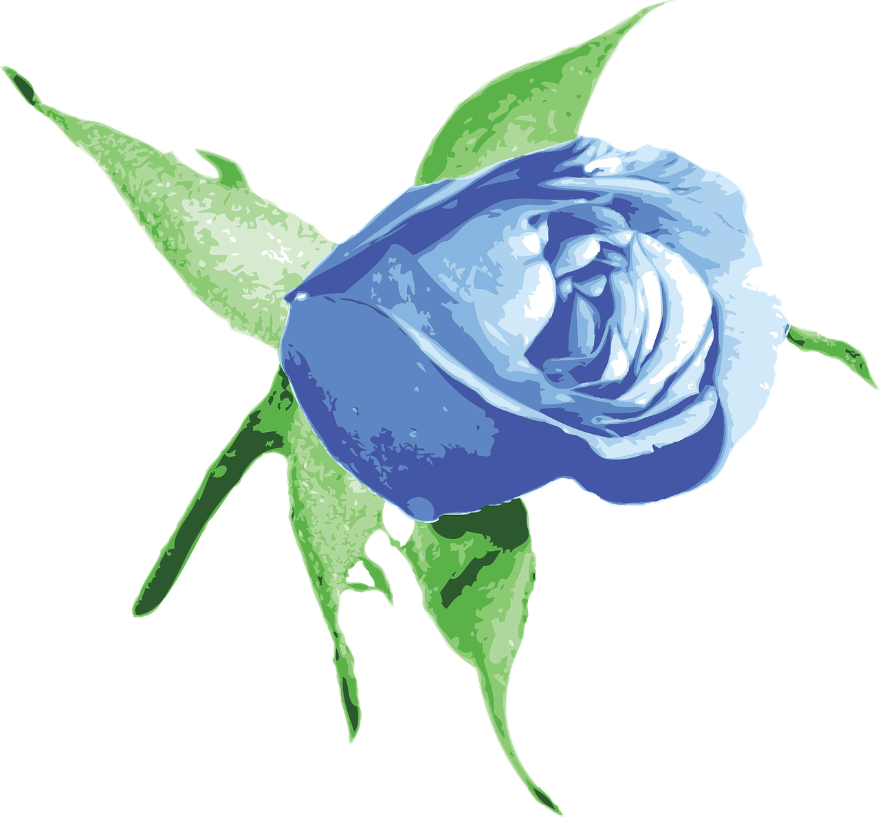 Blue Rose Illustration.png PNG