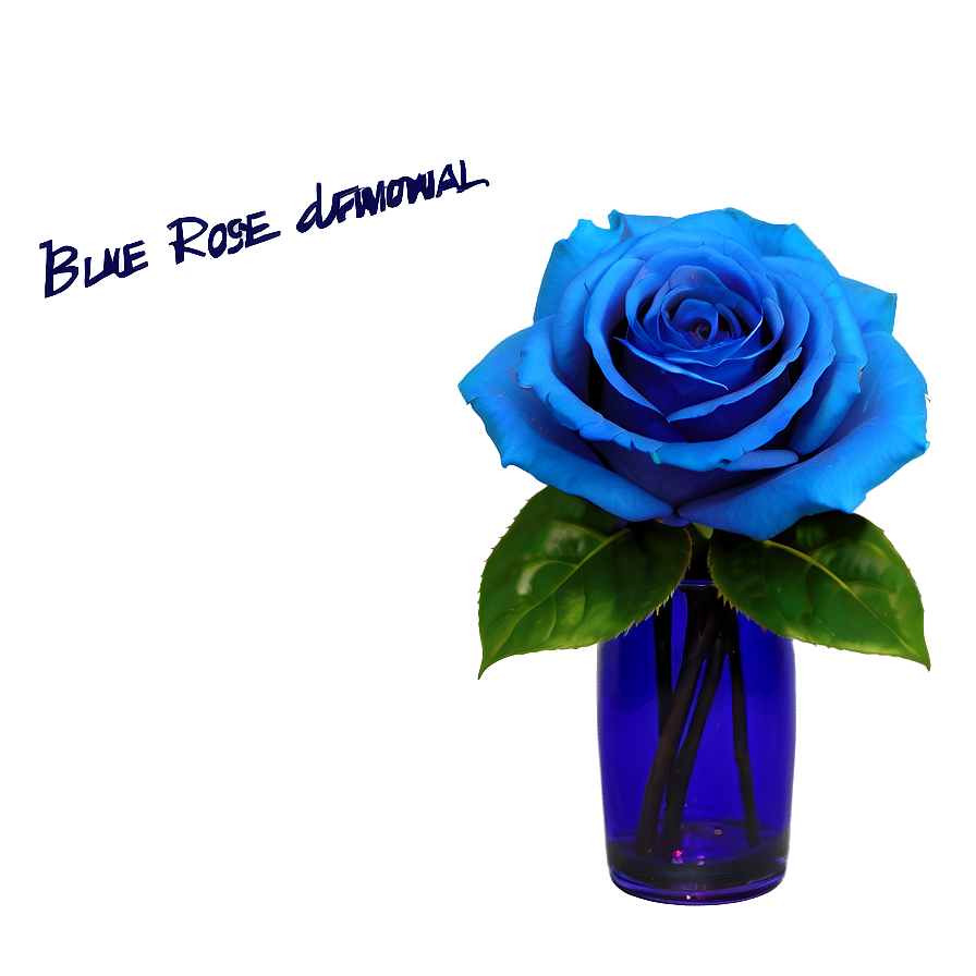 Download Blue Rose In Vase Png 06202024 | Wallpapers.com