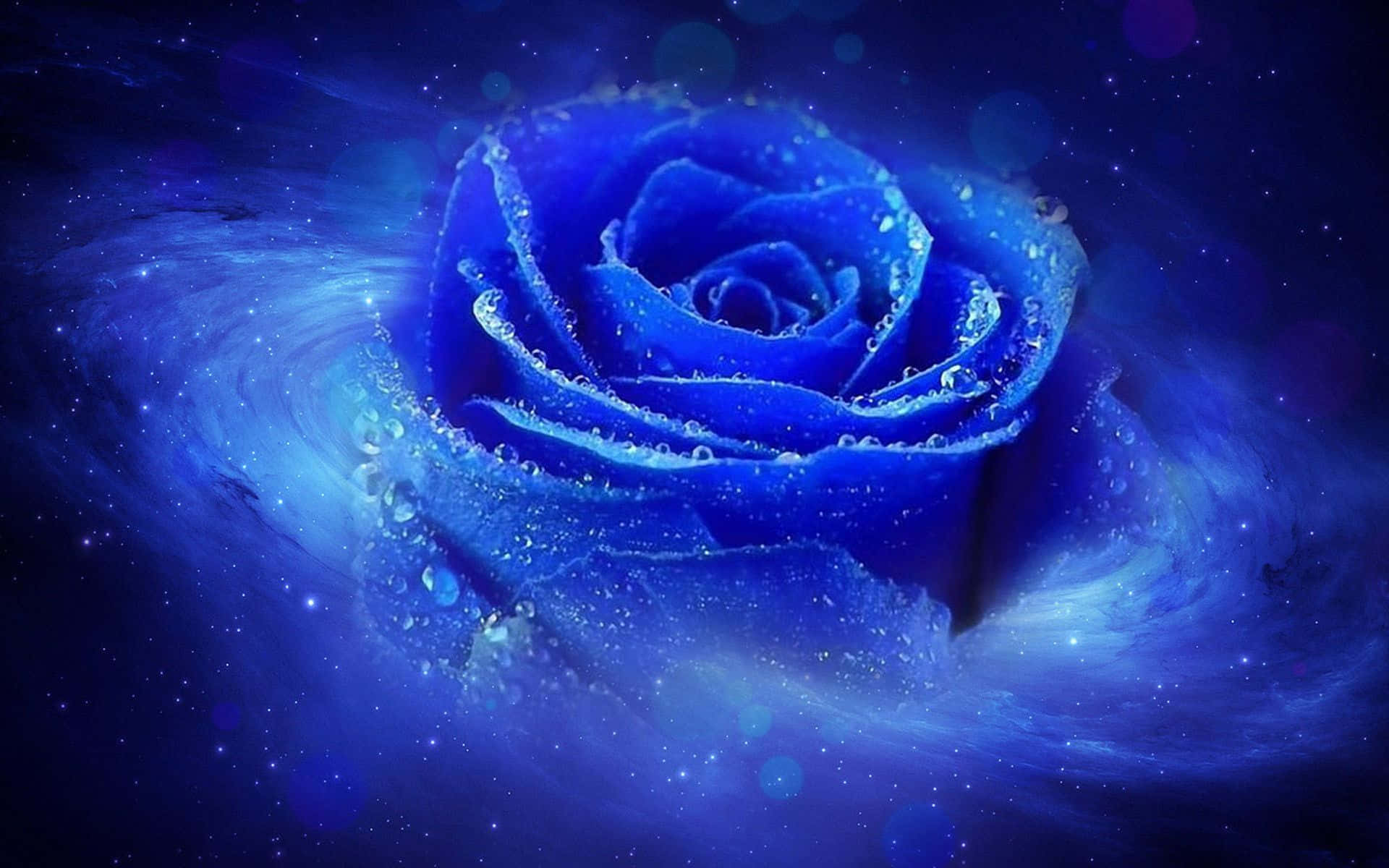 An Ethereal Blue Rose Wallpaper