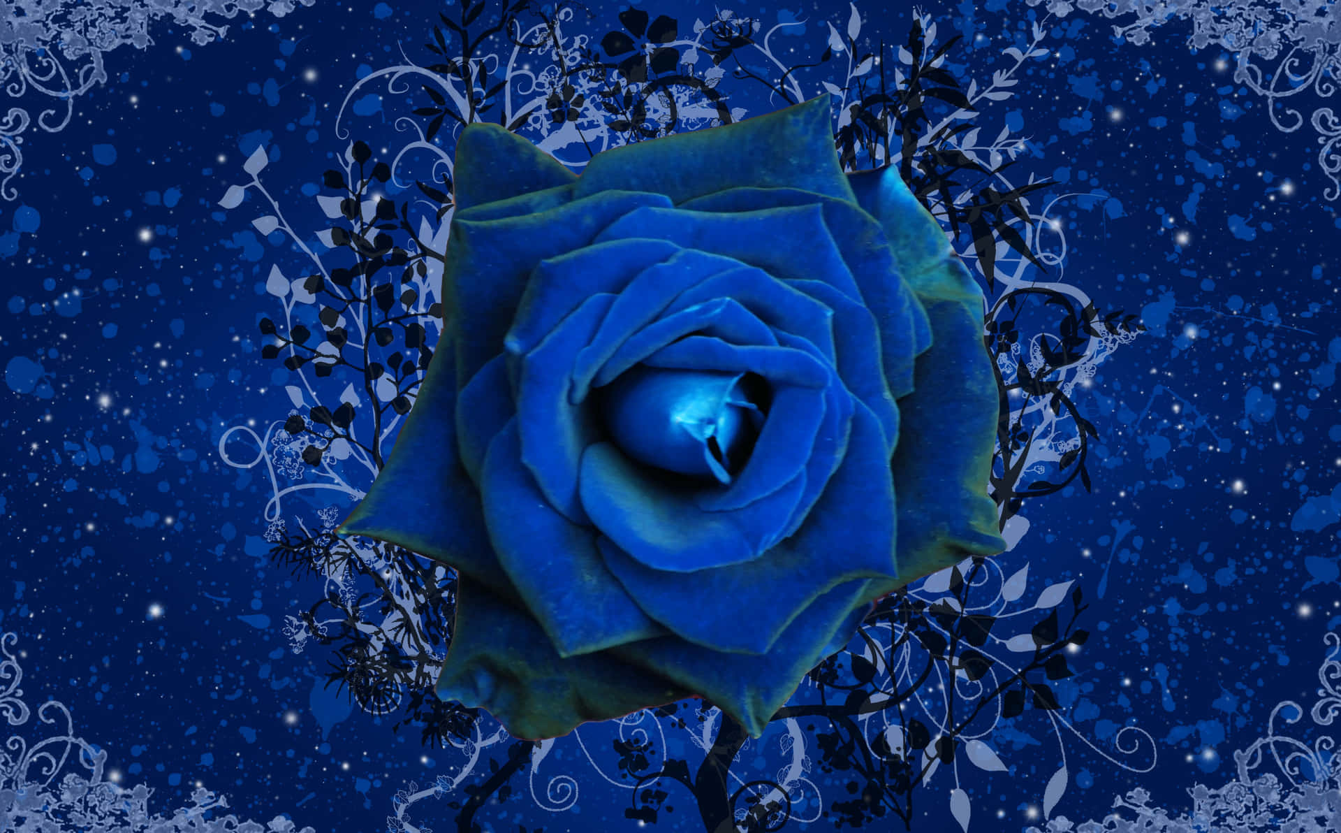 Fint og smukt blå rose design. Wallpaper