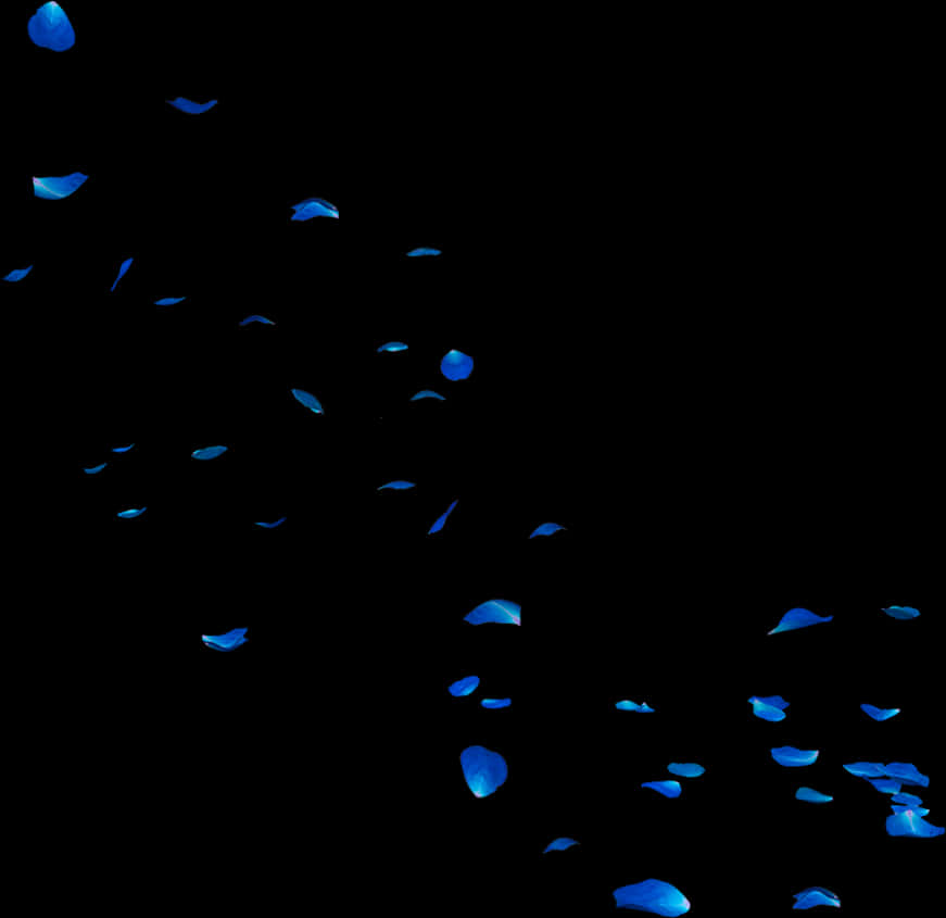 Blue Rose Petals Falling Dark Background PNG