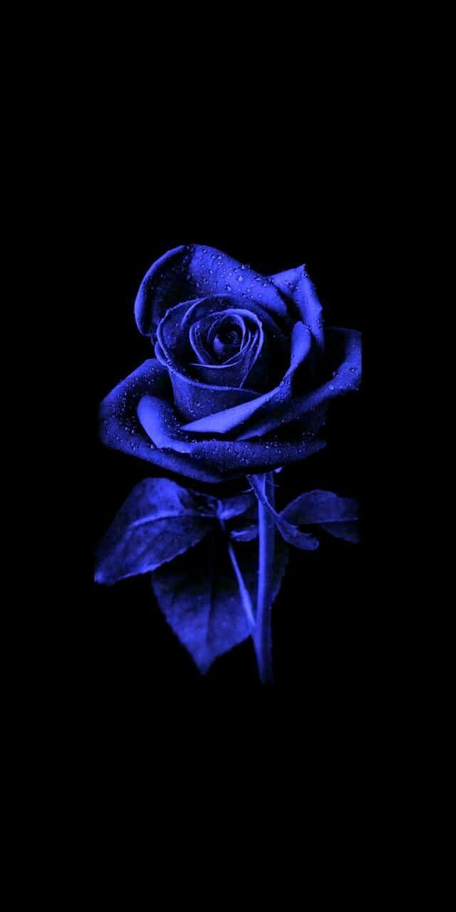 Imagende Una Rosa Azul Neón Brillante.