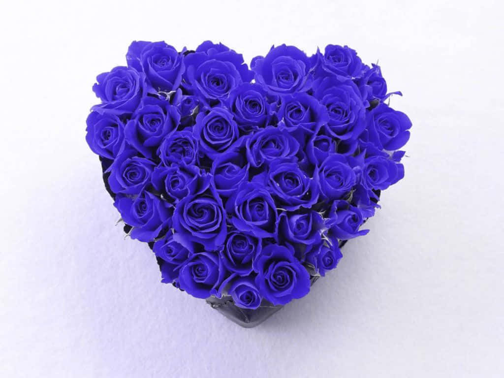Blue Rose Flowers Forming Heart Picture