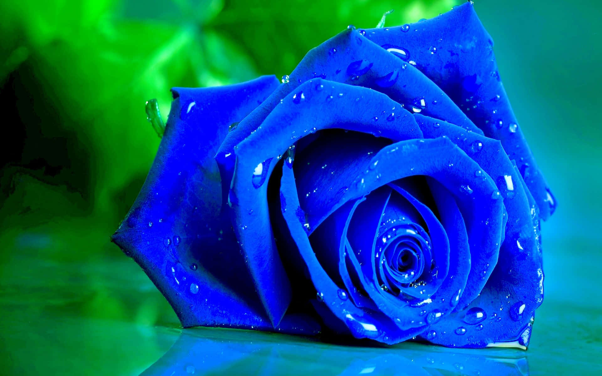 Imagende Una Rosa Azul Tocando Una Superficie De Vidrio.