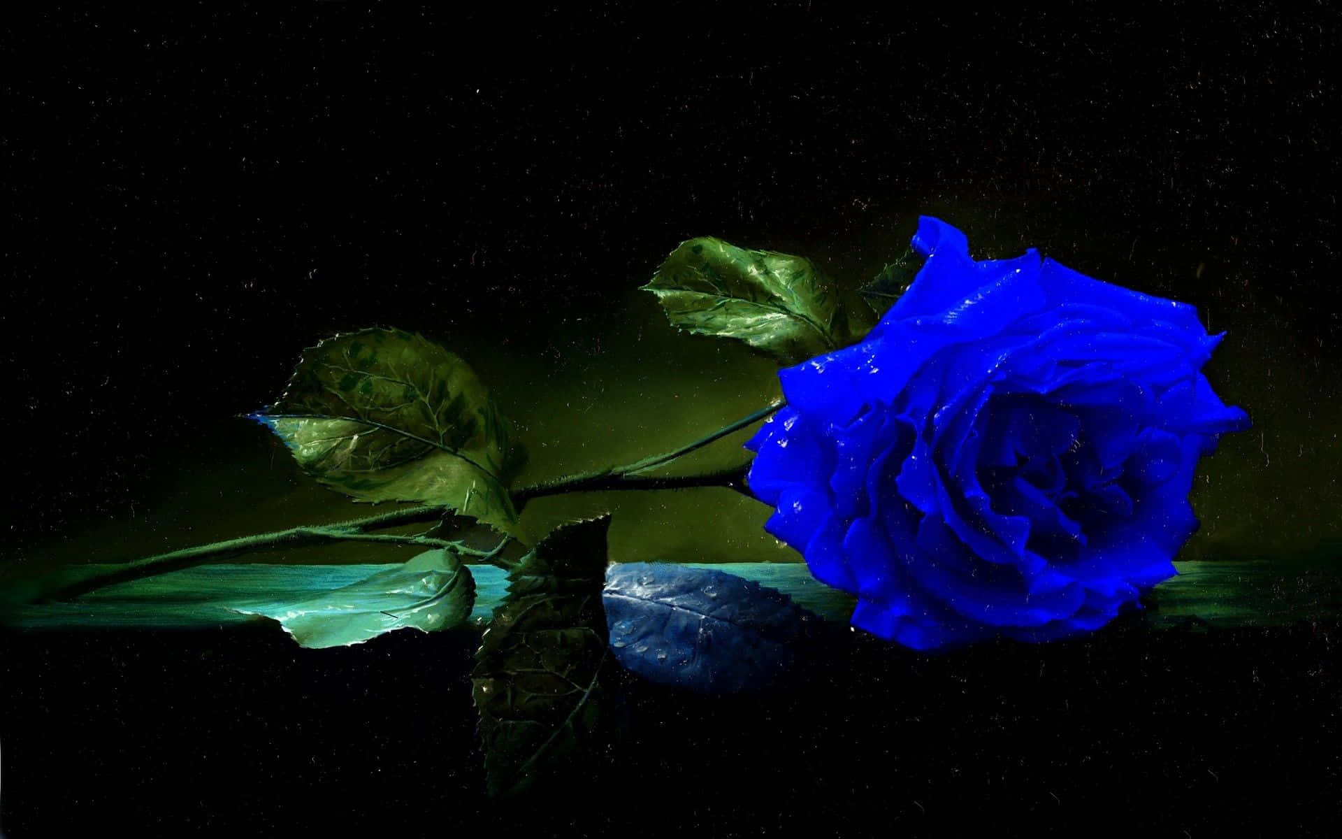Imagende Una Rosa Azul Brillante.