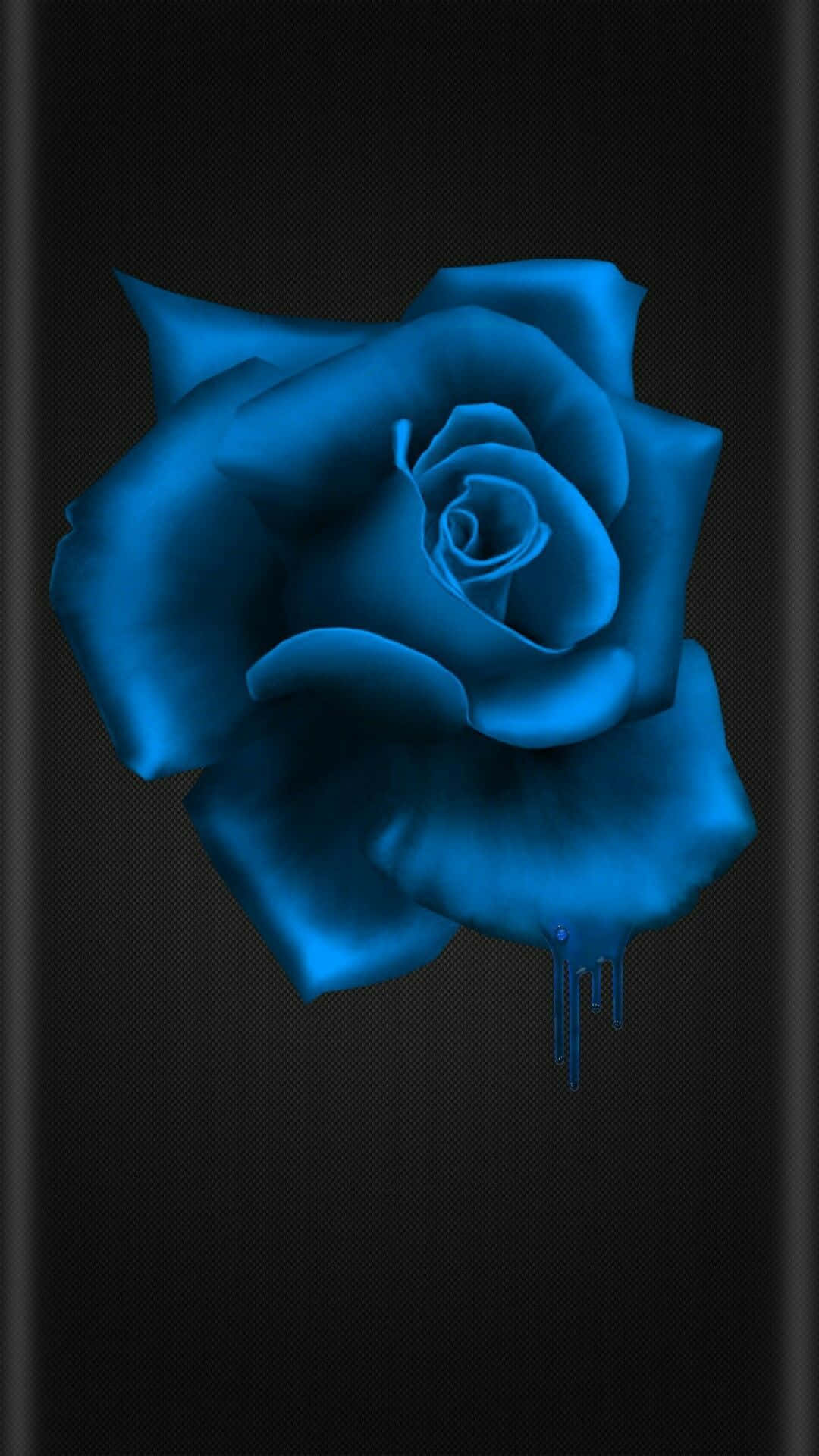 Imagende Una Rosa Sedosa Azul.