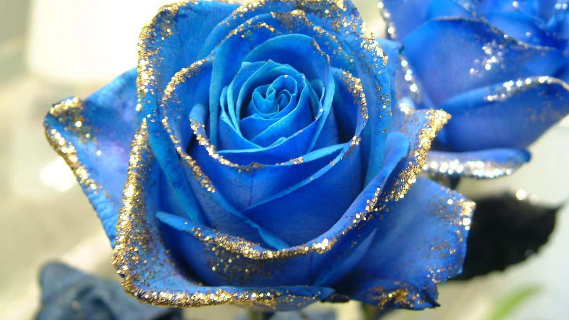 Imagende Una Rosa Azul Brillante.