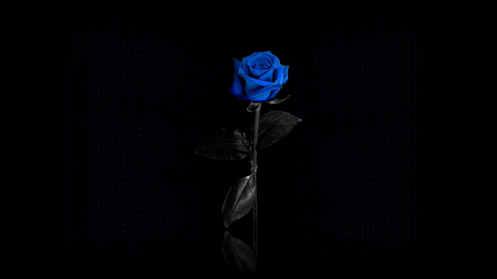 Imagende Una Rosa Azul Minimalista.