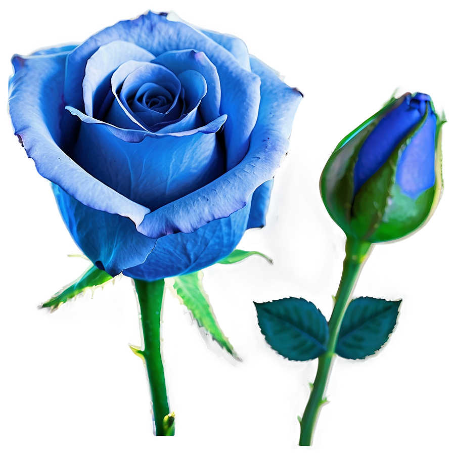 Blue Rose Png Uso PNG