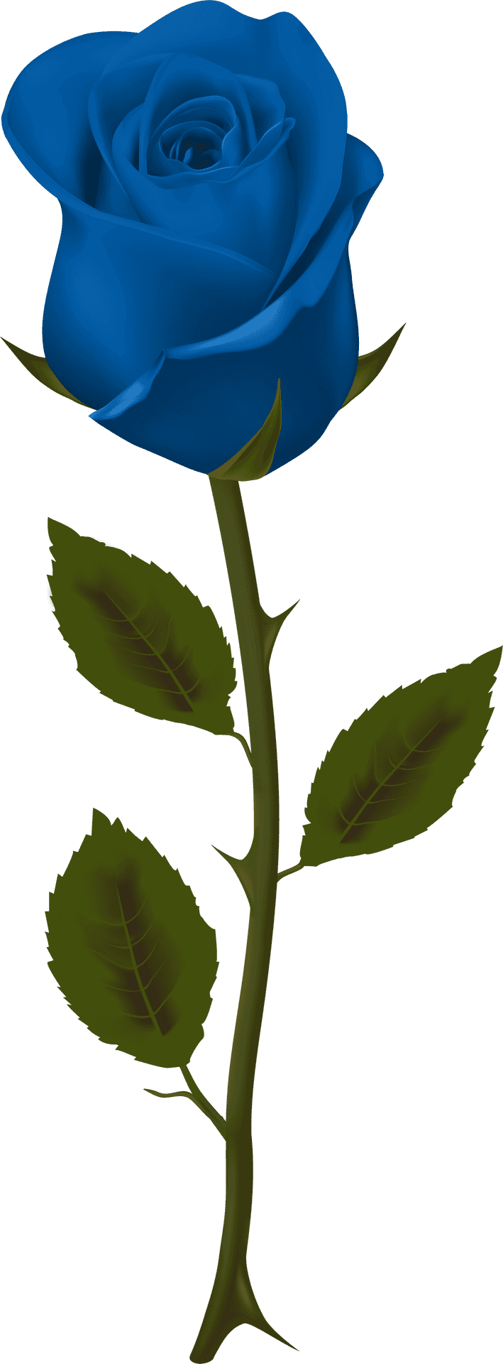 Blue Rose Single Stem Graphic PNG