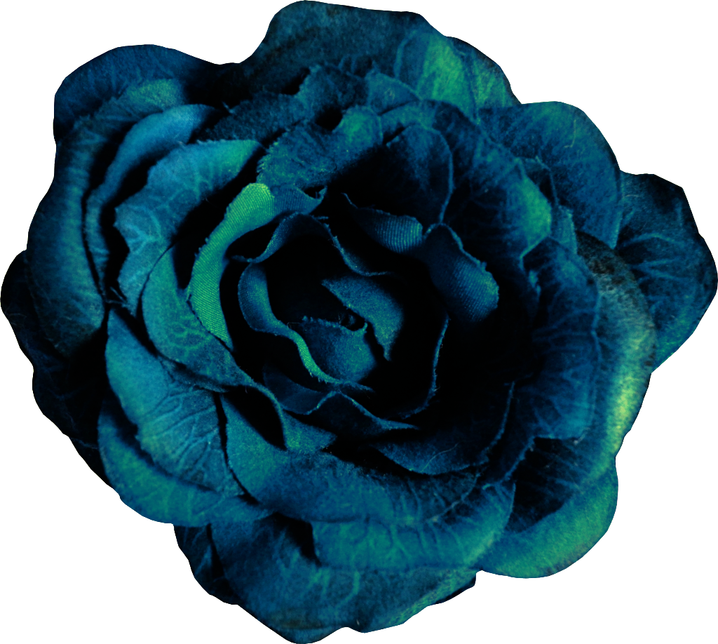 Blue Rose Vector Art PNG