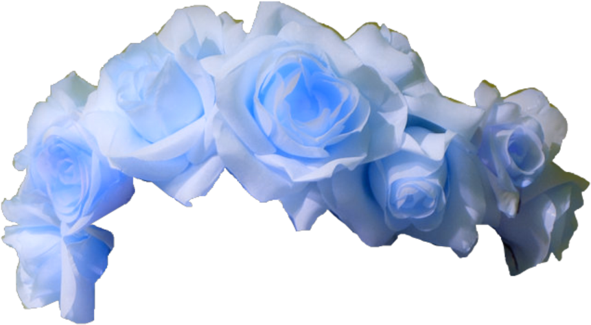 Blue Roses Transparent Background PNG