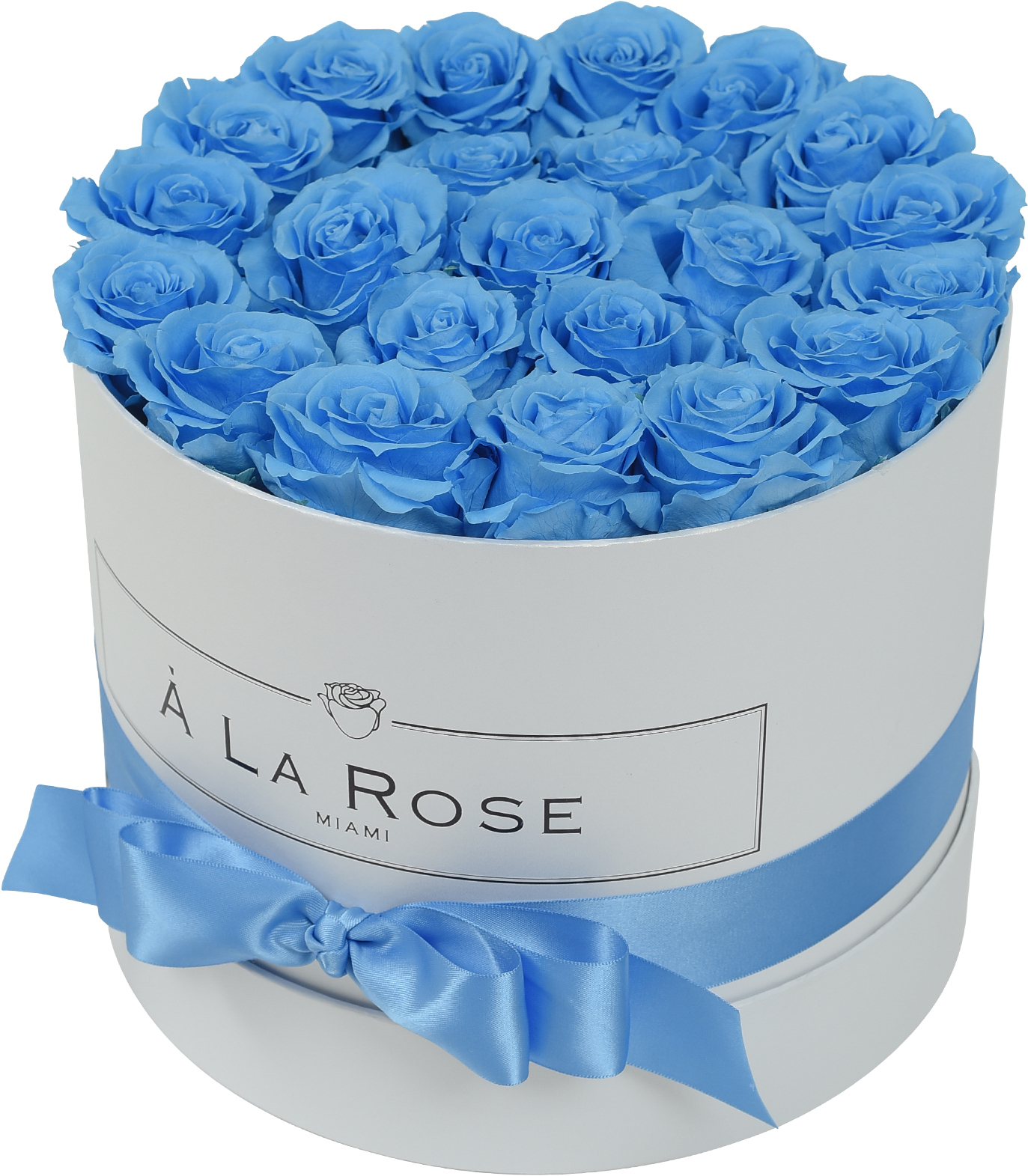 Blue Rosesin White Round Boxwith Ribbon PNG