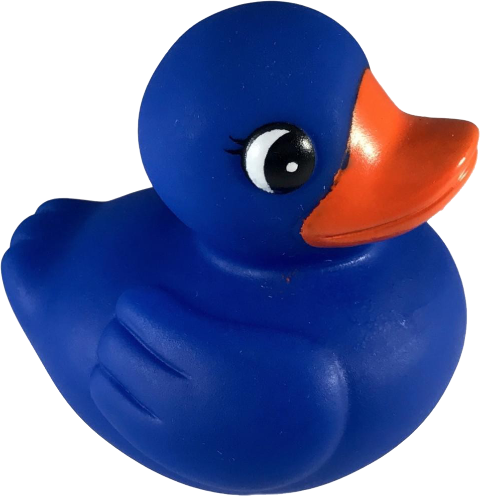 Blue Rubber Duck Toy PNG