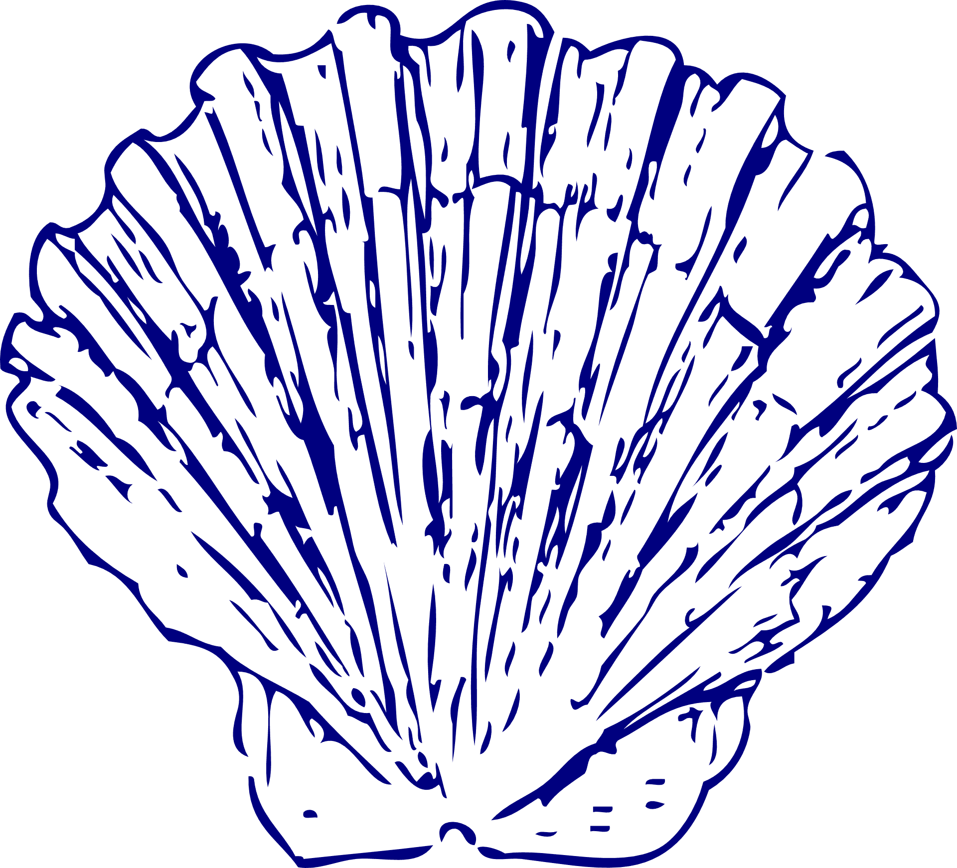 Blue Scallop Shell Illustration PNG