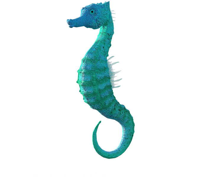 Blue Seahorse Profile PNG