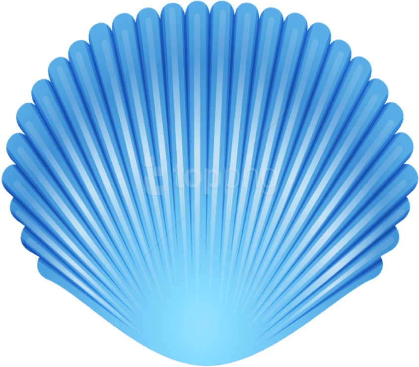 Blue Seashell Graphic PNG