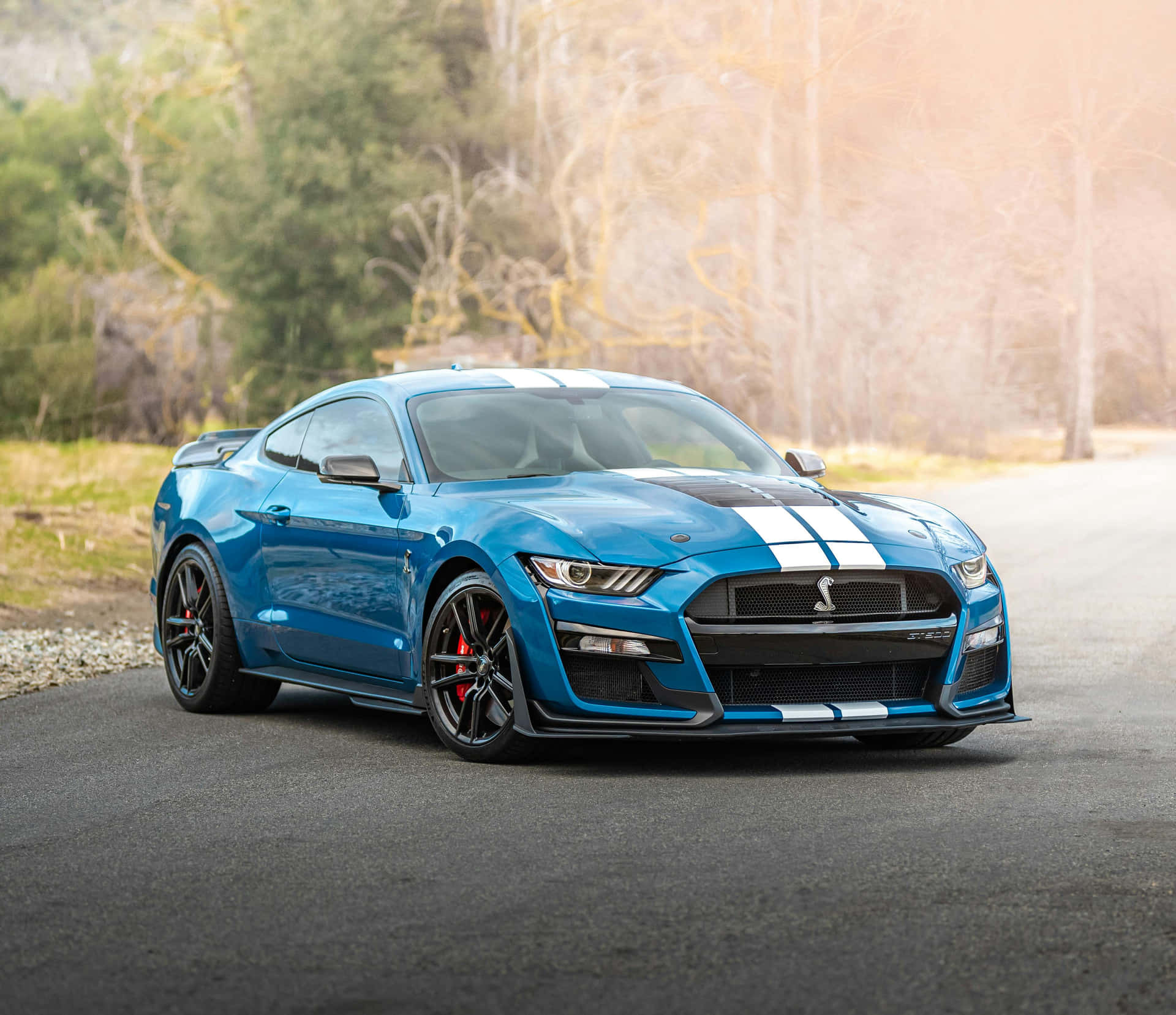 Blue Shelby G T500 On Road Wallpaper