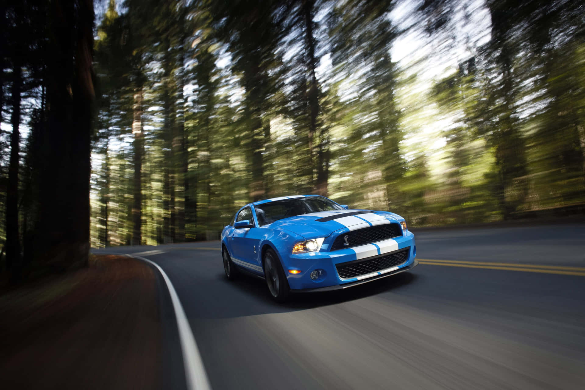 Blue Shelby G T500 Speedingin Forest Wallpaper